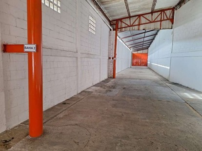 Imagen 13